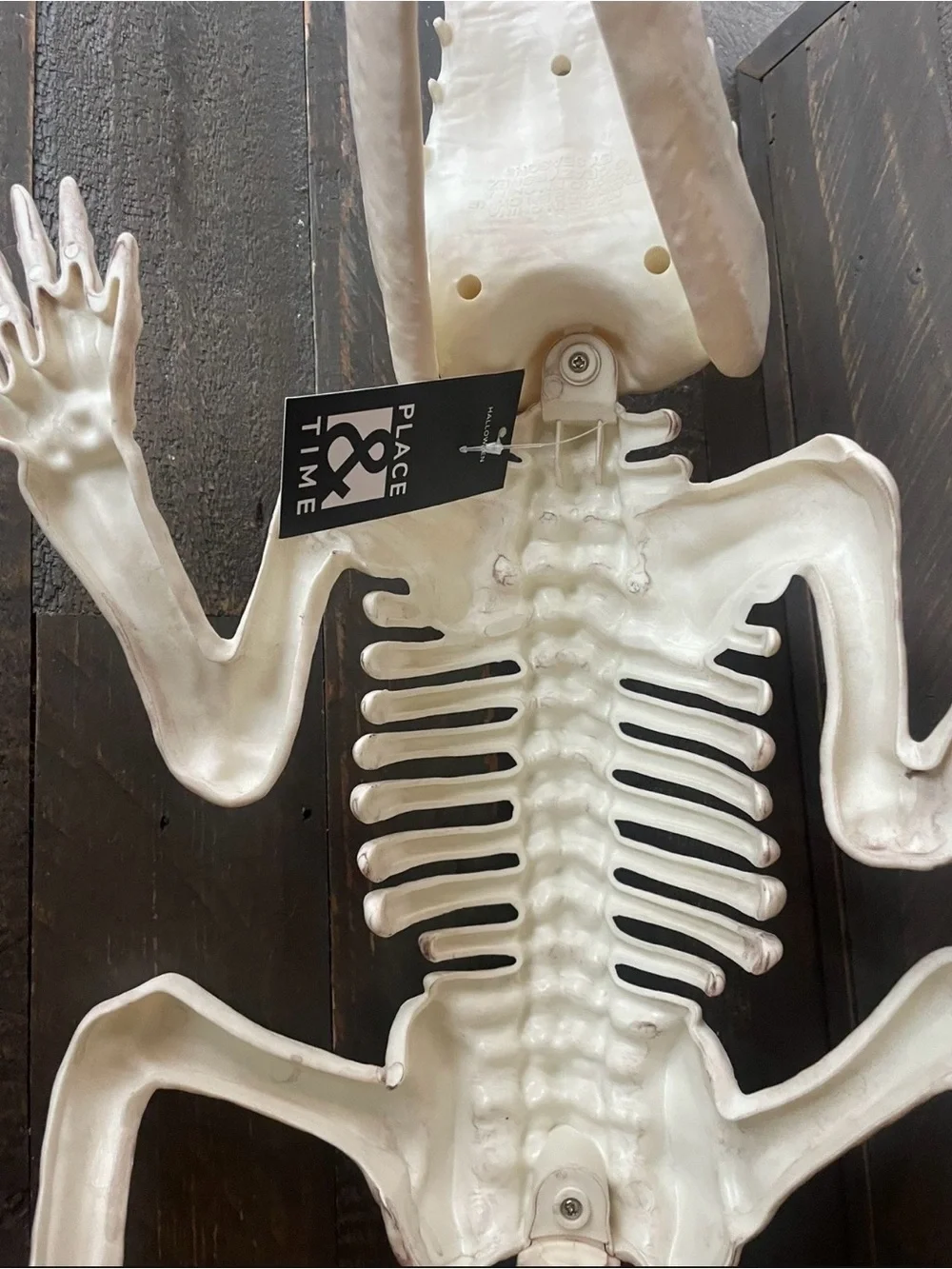 Crazy bonez white reptile